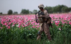 US War In Afghanistan Is Fueling Global Heroin Epidemic