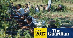 Fake news images add fuel to fire in Myanmar, after more than 400 deaths Global development The Guardian