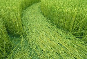 The Mowing Devil Mystery  Mysterious Universe