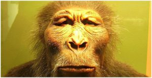 New Species of Ancient Humans Uncovered in the Philippines