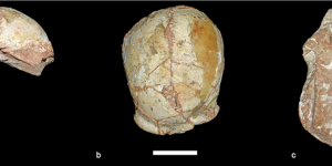 The Honduran Coup — One Decade Later