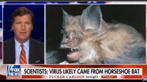 Tucker Carlson: Chinese Researchers Confirm Coronavirus Linked to Horseshoe Bat Studies at One of Two Wuhan Research Institutes (VIDEO)