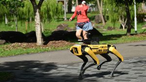 Singapore deploys robot 'dog' to encourage social distancing over coronavirus - CNN