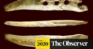 Making rope for 40k years - a tusk, drill holes, weave a rope – and change the course of history Science The Guardian