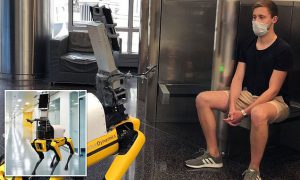 Coronavirus US: Boston Dynamics' robot dog detects symptoms