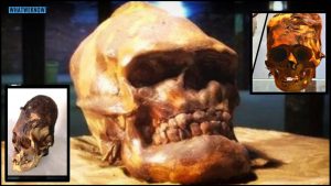 Nevada’s Mysterious Red-Haired Giants Of Lovelock Cave - whatweknow - YouTube