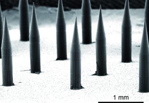 Quantum Dots Deliver Vaccines and Invisibly Encode Vaccination History in Skin