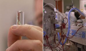 Pentagon scientists invent a microchip which senses COVID-19 in your body before you show symptoms Daily Mail Online