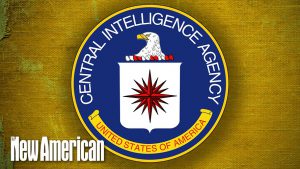 2020 Election Stolen