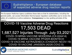 17,503 Dead, 1.7 Million Injured (50% Serious) Reported in European Union’s Database of Adverse Drug Reactions for COVID-19 Shots - Global ResearchGlobal Research - Centre for Research on Globalization