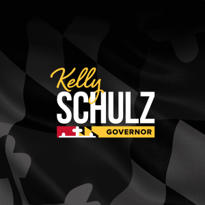 Why I’m Running - Kelly Schulz for Governor