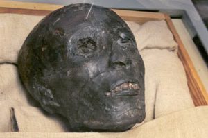 King Tut's DNA is Western European