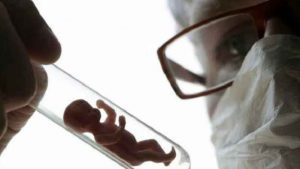 “Babies for spare parts”: Scientists create world's first lab-grown “synthetic embryo” - Anonymous Wire