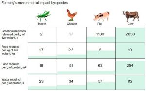 Good grub: why we might be eating insects soon World Economic Forum
