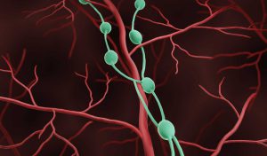 The CDC Lied: The mRNA Wasn&rsquo;t Meant to &ldquo;Stay in the Arm&rdquo; ⋆ Brownstone Institute