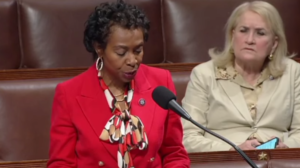 Democrat Lawmaker Says The Quiet Part Out Loud, Wants Illegal Aliens For ‘Redistricting Purposes’ - State of the Union