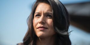 American Stasi: Tulsi Gabbard Confirms "Quiet Skies" Nightmare