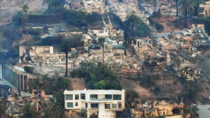 LA Wildfires Deliberately Started To Turn Los Angeles Into 'Smart City' By 2028? Bizarre Claim Surfaces